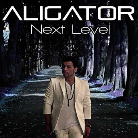 Dj Aligator Starting Over